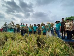 Kolaborasi Pemkab dan PT. GNA, Program 10 Ton Bisa Sukses di Desa Gabus