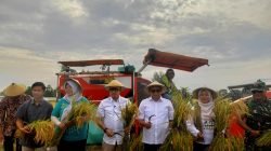 Panen Raya Bukti Program 1 Hektar 10 Ton Terwujud di Pati