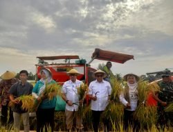 Panen Raya Bukti Program 1 Hektar 10 Ton Terwujud di Pati