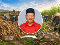 Sudi Rustanto: Peralihan Tanam ke Tebu Adalah Strategi Bertahan Petani