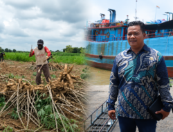 Kunci Pertahankan Petani Ketela: Sudi Rustanto Tekankan Kepastian Pasar