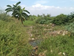 Tanggul Sungai Golan Jebol, DPUTR Pati Pastikan BBWS Segera Lakukan Perbaikan