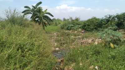 Tanggul Sungai Golan Jebol, DPUTR Pati Pastikan BBWS Segera Lakukan Perbaikan