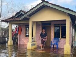 Danung Singgihaji Dorong Kolaborasi Lintas Sektor Atasi Banjir Rob di Pesisir Pati