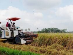 Kelola Pascapanen Lebih Modern, Sudi Rustanto Dorong Optimalisasi Alsintan Lewat Gapoktan