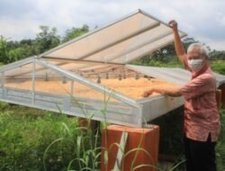 Cuaca Tak Menentu Ancam Kualitas Panen, DPRD Pati Minta Petani Diberi Fasilitas Pengering Jagung