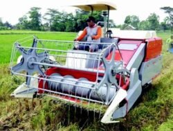 Eko Sulistio Dorong Penguatan Fasilitas Pascapanen untuk Tingkatkan Nilai Jual Jagung
