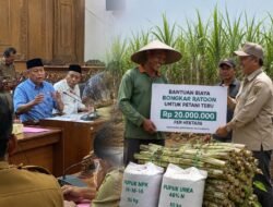 DPRD Pati Dorong Bantuan Berkelanjutan, Biaya Bongkar Ratoon Masih Jadi Tantangan Petani