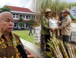 DPRD Pati: Bantuan Bibit dan Pupuk Jadi Kunci Keberhasilan Program Bongkar Ratoon