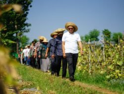Pemkab Pati Bidik Pasar Modern untuk Melon Tegalombo