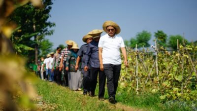 Pemkab Pati Bidik Pasar Modern untuk Melon Tegalombo