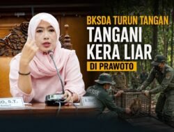 DPRD Pati Dorong BKSDA Turun Tangan Tangani Kera Liar di Prawoto