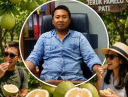 DPRD Pati Dorong Jeruk Pamelo Naik Kelas Jadi Komoditas Unggulan Daerah