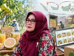 Warsiti Ingin Jeruk Pamelo Pati Tembus Pasar Lebih Luas
