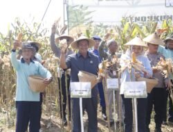 DPRD Pati Minta Solusi Kekeringan Tak Membuat Petani Kehilangan Musim Tanam