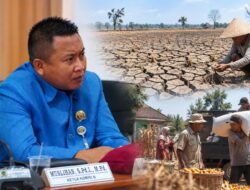 Kekeringan Pati Berdampak ke Ekonomi Desa, DPRD Minta Penanganan Lebih Menyeluruh