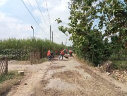 Tiga Ruas Jalan Winong-Pucakwangi Direhabilitasi, DPRD Pati Dorong Kualitas Pekerjaan
