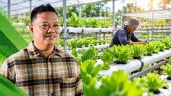 Lahan Sempit Tetap Produktif, Sudi Rustanto Dorong Budidaya Hidroponik