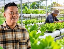 Lahan Sempit Tetap Produktif, Sudi Rustanto Dorong Budidaya Hidroponik