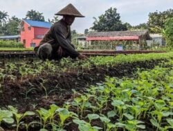 Legislator Muda Dorong Lahan Tak Produktif Jadi Penggerak Ekonomi Pedesaan Pati