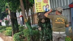 Siti Mastikah Dorong Penertiban Reklame, Keluhan Masyarakat Harus Ditindaklanjuti