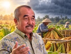 Cuaca Jadi Tantangan Petani Tembakau, Kamari Tekankan Persiapan Matang